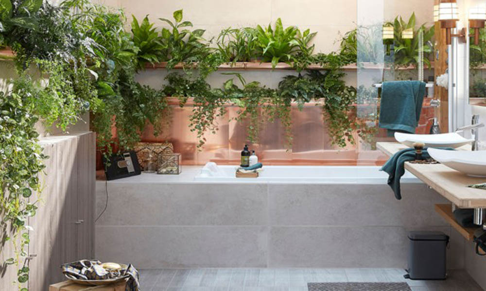 Las mejores plantas para tu cuarto de baño Las mejores plantas para tu cuarto de baño