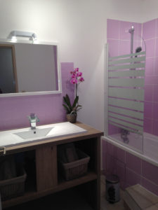 plantas cuarto de baño orquideas