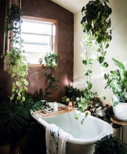 decoracion baño estilo jungla